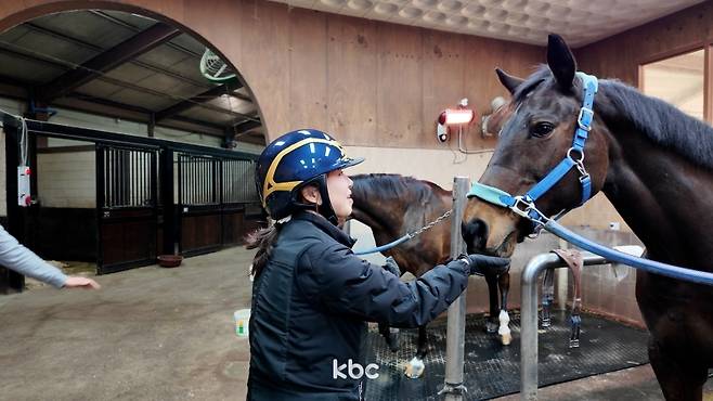 ▲ KBC 신민지 기자와 스무 살 암말 '피터 요정'
