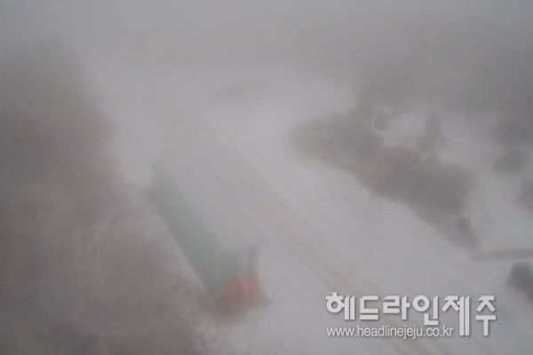 많은 눈이 내리고 있는 제주 1100도로. (제주도 CCTV 실시간 영상 캡쳐)