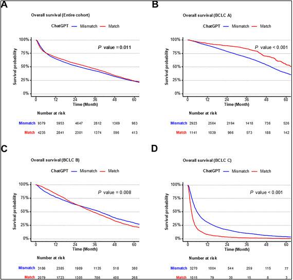 ChatGPT 4가 권고한 치료와 실제 치료의 일치 여부에 따른 환자 생존율 비교. (A) 전체 환자군에서 AI 권고와 일치한 치료를 받은 환자(빨간선)가 불일치 환자(파란선)보다 약간 나은 생존율을 보였다. (B) BCLC A단계(초기 간암)에서는 AI 권고 일치 환자군의 생존율이 유의하게 높았다(HR=0.626, P<0.001). (C) BCLC B단계에서는 소폭의 차이만 관찰됐다. (D) BCLC C단계(진행성 간암)에서는 오히려 AI 권고와 일치한 환자군의 생존율이 낮게 나타났다(HR=2.271, P<0.001). 이는 AI가 종양 특성 중심으로 판단하는 반면, 의사는 간기능과 전신 상태를 종합적으로 고려하기 때문으로 분석된다.