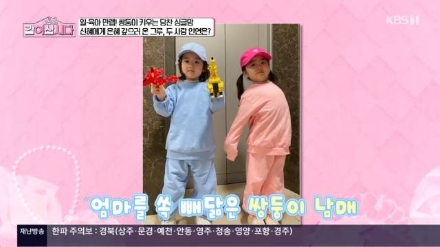 KBS 1TV ‘황신혜의 같이 삽시다’ 캡처