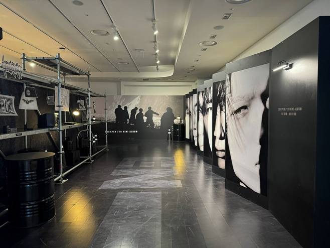 티브이데일리 포토