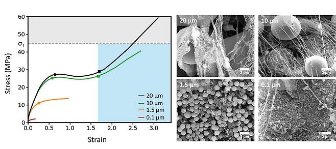 연구모식도 [가천대 제공. 재판매 및 DB 금지]