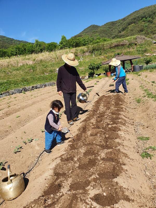 농작물을 키우려고 밭을 일구는 서정홍 농부시인. /교육공동체벗