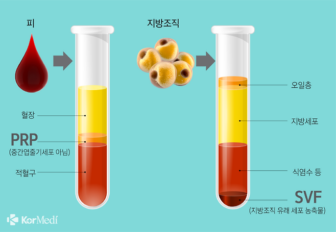 그래픽=윤상선 디자이너