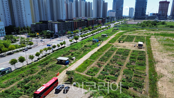 이음텃밭 전경