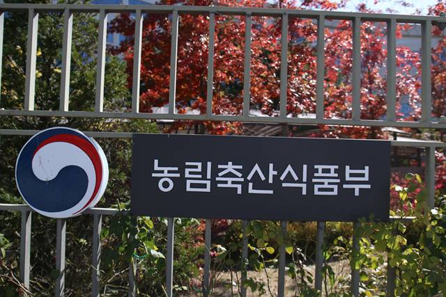 농림축산식품부 전경. 농식품부 제공