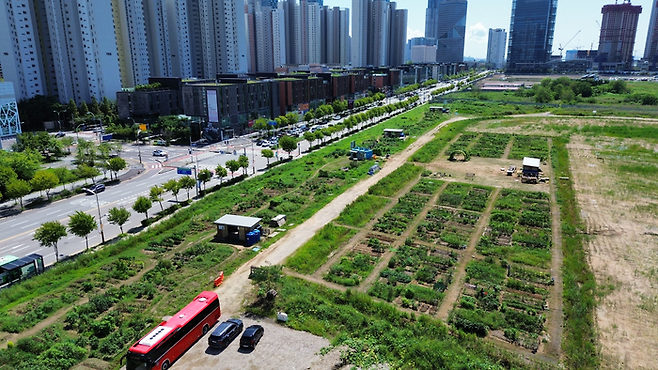 이음 텃밭 전경 ⓒ 인천시 제공