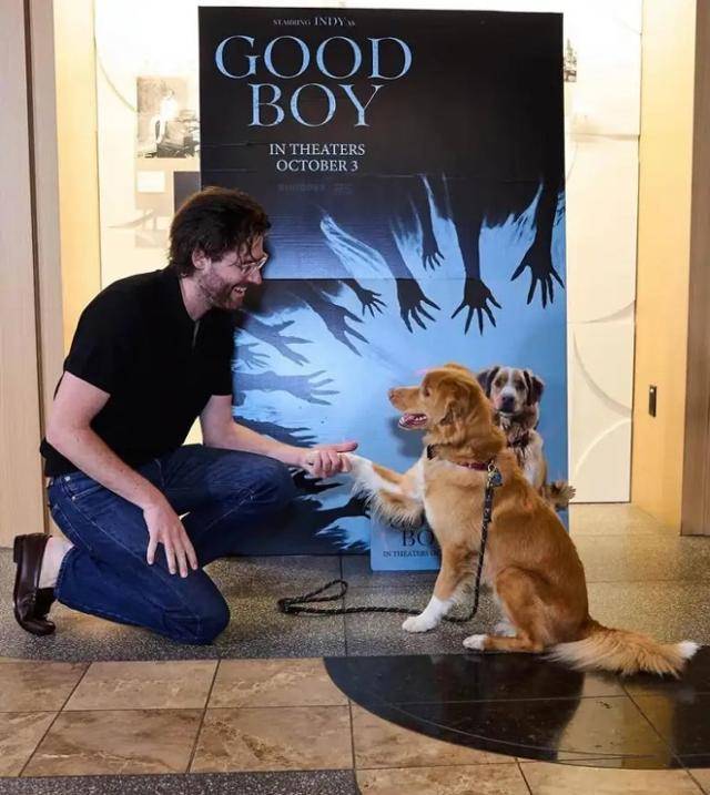 영화 '굿 보이'가 북미 극장에 개봉한 지난 10월, 영화를 연출한 벤 레온버그 감독과 주연이자 감독의 반려견인 '인디'가 악수를 하고 있다. 벤 레온버그