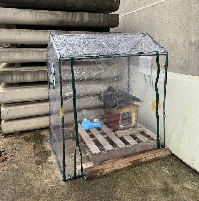 뽀야를 위해 만들었던 겨울집 보호자 제공