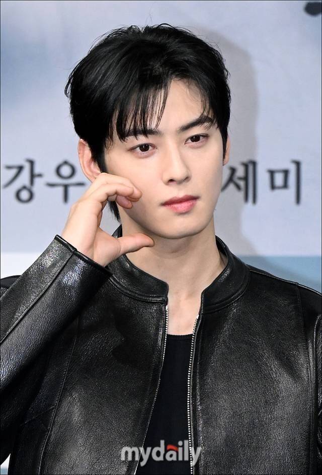 차은우 / 마이데일리