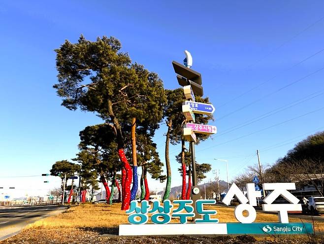 상주시 시가지 한 도로에 조성된 가로수길 모습 ⓒ상주시 제공