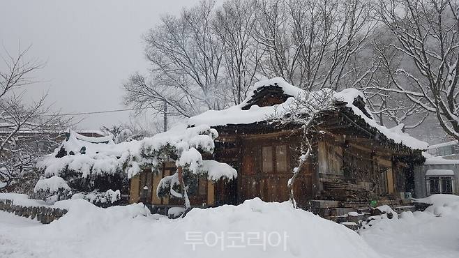 겨울이면 설국으로 변하는 태백산 눈축제장 주변 풍경/&nbsp;Ⓒ 투어코리아
