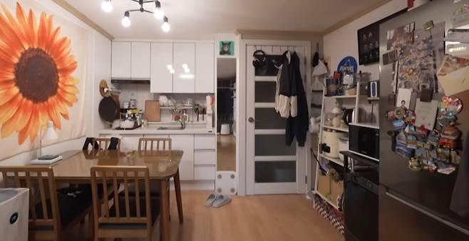 '나혼자산다' 배나라 집 & 고양이(나혼산)