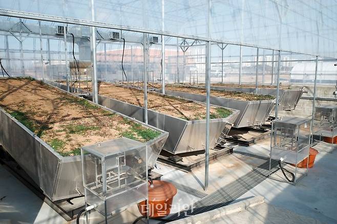 미래강우동 내부 모습. ⓒ공동취재단