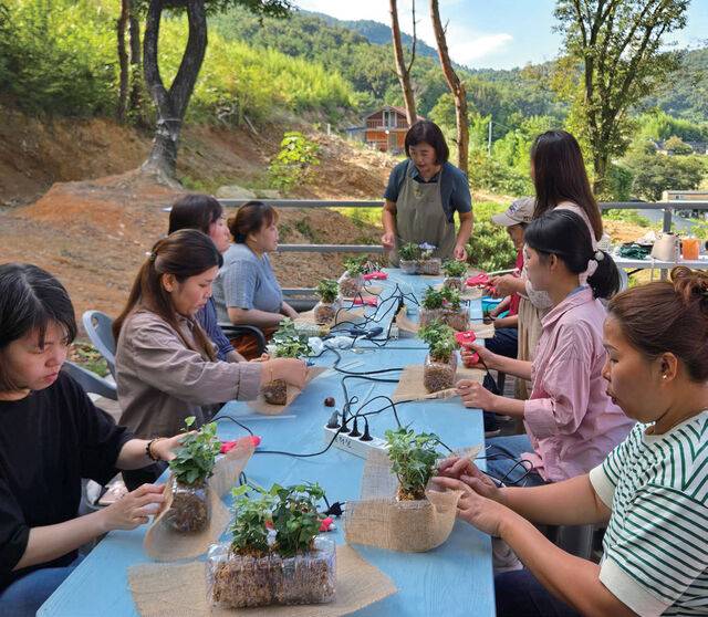 치유농장 ‘봄햇살케어팜’에서 체험중인 사람들. 흙을 만지고 식물을 돌보는 순간, 참가자들의 손끝은 자신을 돌보는 움직임으로 이어진다.