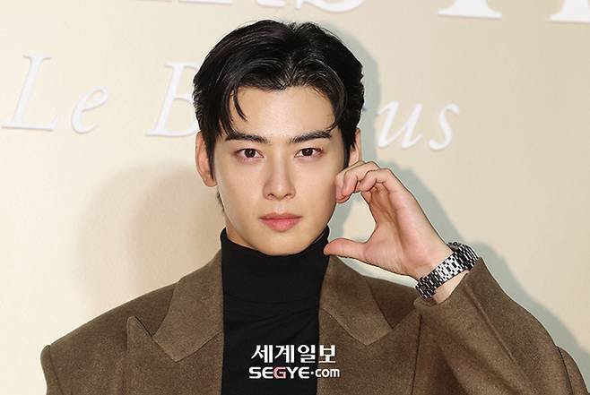 차은우, 母 법인으로 200억 탈세?…“적극 소명”