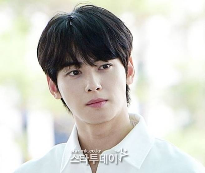 차은우. 사진l스타투데이DB