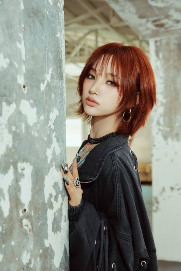 티브이데일리 포토