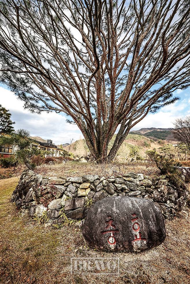 (주민욱 프리랜서)