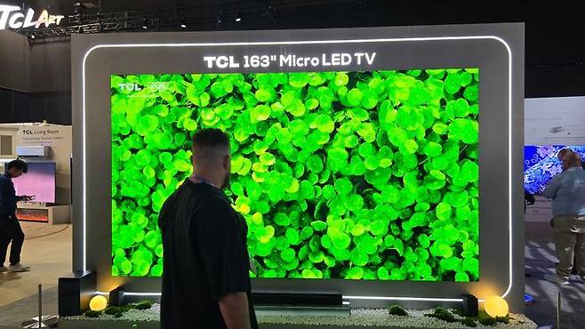 'CES 2026' 관람객이 TCL 부스에서 163인치 마이크로 LED TV를 보고 있다. ⓒ데일리안DB