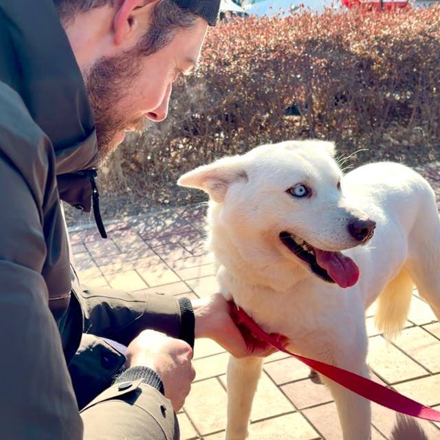 지난 20일 인천 중구 인천국제공항 물류단지에서 출국을 앞두고 대기하던 구조견 '스텔라'의 모습. 스텔라는 지난해 5월 구조됐지만 새끼를 낳아 해외입양이 미뤄져 이제야 출국길에 오르게 됐다. 동그람이 정진욱