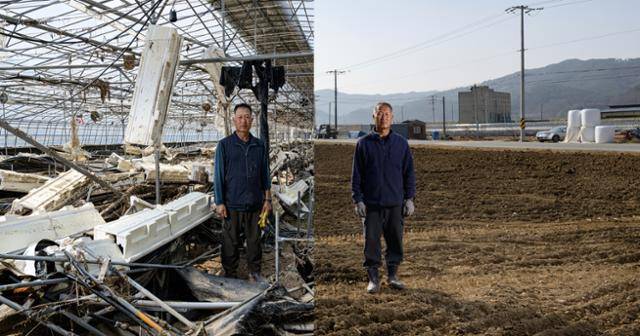 지난해 7월 24일, 농민 유승현(56· 왼쪽 사진)씨가 기록적인 폭우로 폐허가 된 경남 산청군 신안면의 딸기 비닐하우스 잔해 속에 망연자실하게 서 있다. 오른쪽 사진은 올해 1월 17일, 철거 작업을 마친 같은 자리에 선 유씨. 반년이 지났지만 그는 현실성 없는 보상 대책에 막혀 복구의 삽을 뜨지 못하고 있다. 산청=하상윤 기자