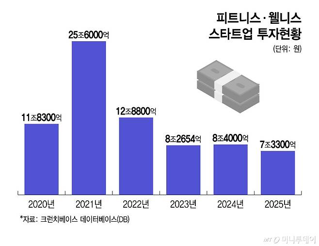 피트니스˙웰니스 스타트업 투자현황/그래픽=윤선정