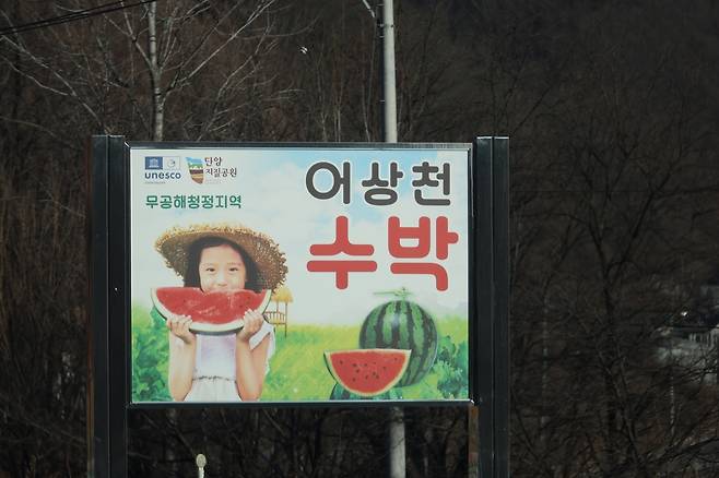 어상천수박 홍보하는 간판 [김형우 촬영]