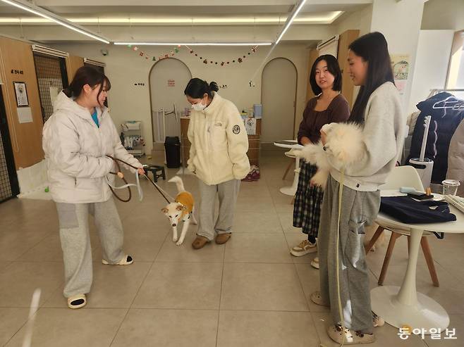 13일 광주 동구 불로동 피스멍멍에서 입양자 이유정 씨가 진도개 믹스종 ‘나라’를 산책시키기 위해 밖으로 나서고 있다. 이형주 기자 peneye09@donga.com