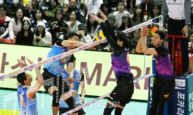 ▲ 배구 올스타전