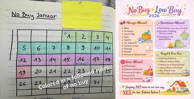 미국 최대 온라인 커뮤니티 레딧에 공유된 '구매 금지'(NO BUY) 챌린지 게시물 /사진=레딧