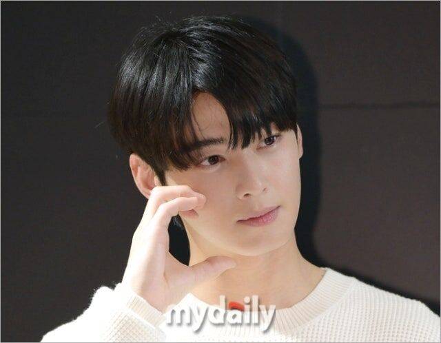 소속사가 설계했나, 차은우 200억 탈세 의혹…진실공방 가열[MD이슈]