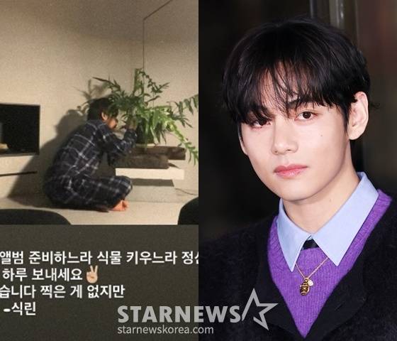 /사진=뷔 SNS, 스타뉴스