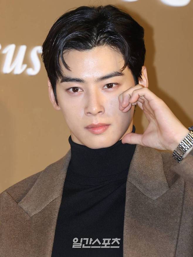 배우 차은우 (사진=일간스포츠 DB)