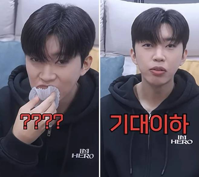 임영웅 유튜브 캡쳐