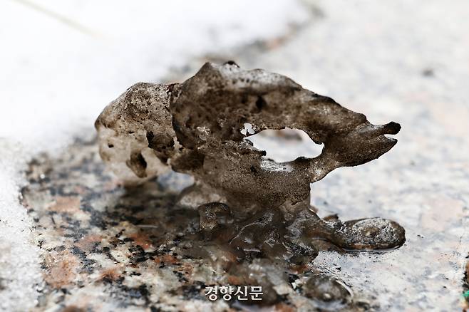 눈의 흔적. 2026.1.26. 정지윤 선임기자