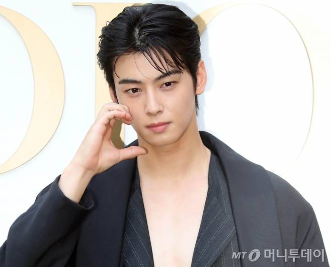 가수 겸 배우 차은우가 페이퍼컴퍼니를 통해 조세를 회피한 정황이 드러난 가운데, 이 회사가 최근 '부동산임대업'을 사업 목적에 추가한 것으로 드러났다. 향후 부동산 매입을 염두에 두고 추가적인 세제 혜택을 노린 게 아니냐는 지적이 나온다. /사진=머니투데이 DB