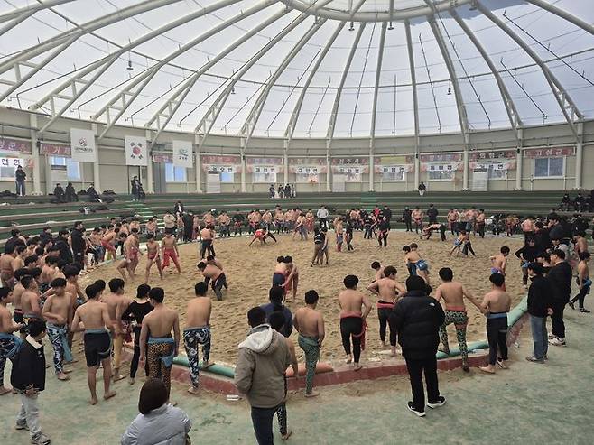 [고성(경남)=뉴시스] 신정철 기자= 경남 고성군은 지난 2025년 11월 2일부터 오는 2026년 3월 31일까지 야구·수영·역도·축구·태권도·씨름·농구·양궁·육상 등 9개 종목, 262개 팀, 6300여 명이 동계전지훈련에 참여할 예정이리고 26일 밝혔다.사진은 1월 셋째 주 기준 60개 팀, 700여 명의 선수들이 고성에 머물며 훈련중인 씨름 경기장 모습.(사진=고성군 제공).2026.01.26. photo@newsis.com *재판매 및 DB 금지