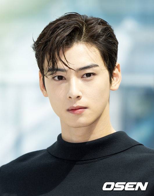 '200억 탈세' 차은우 입 열었다 납세 의무 돌아봐..'군대런'은 NO [전문]