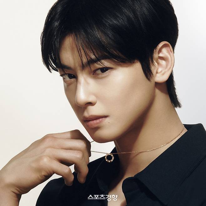 [단독] 차은우 ‘200억 숨긴 유령회사’ 강화군청 조사한다