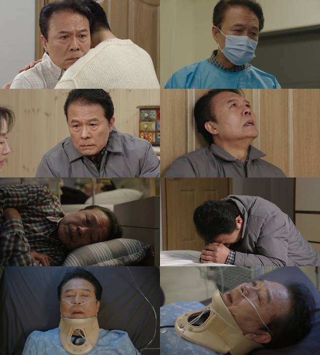 천호진, 시대와 세대를 잇는 연기.. '화려한 날들' 유종의 미