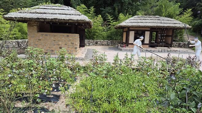 ▲ 장기유배문화체험촌