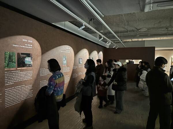 전시는 클림트 작품을 둘러싼 미스터리와 예술적 맥락을 소개하는 '클림트의 신비(The Klimt Enigma)' 섹션을 포함해 13개 주제로 구성돼 있다. [출처=이재아 기자]