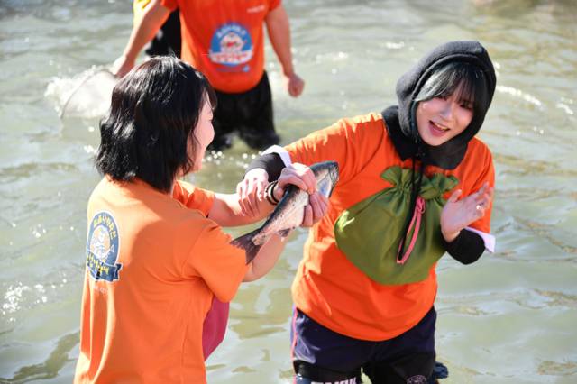 ▲ 사진은 화천산천어축제장을 찾은 인터넷 방송 크리에이터들이 산천어 맨손잡기 체험을 즐기며 이를 방송하고 있다.