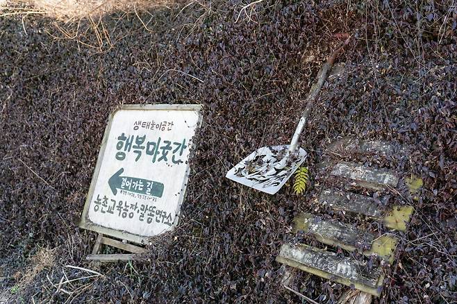 말과 함께 아름다운 사회를 꿈꾸는 행복마굿간(사진=이효태)