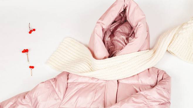 목도리는 겉보기엔 깔끔해 보이지만 현미경으로 보면 세균과 바이러스로 가득할 가능성이 크다. 사진=게티이미지뱅크