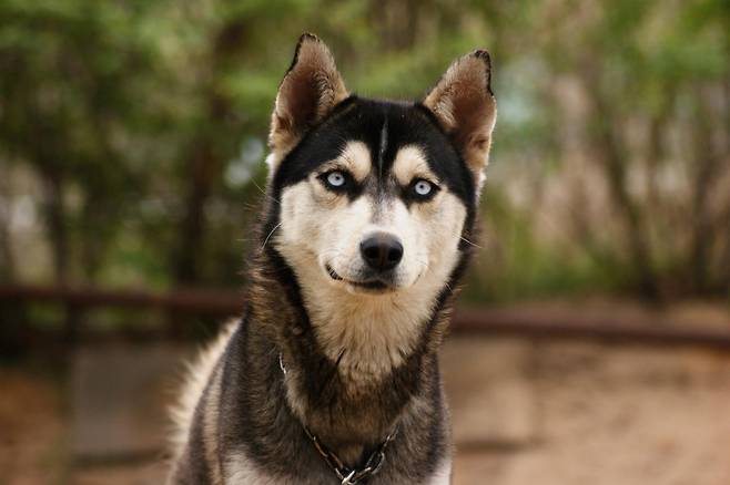 이해를 돕기 위한 사진. 뉴시스