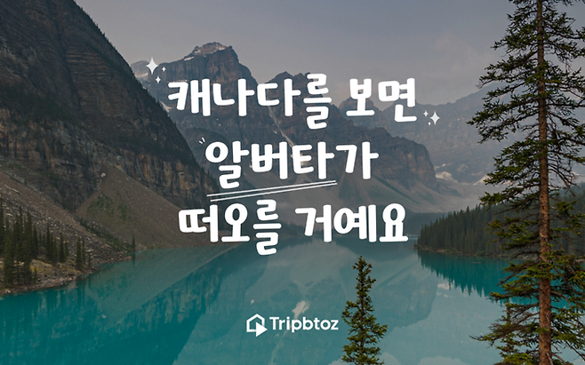 사진 = 트립비토즈