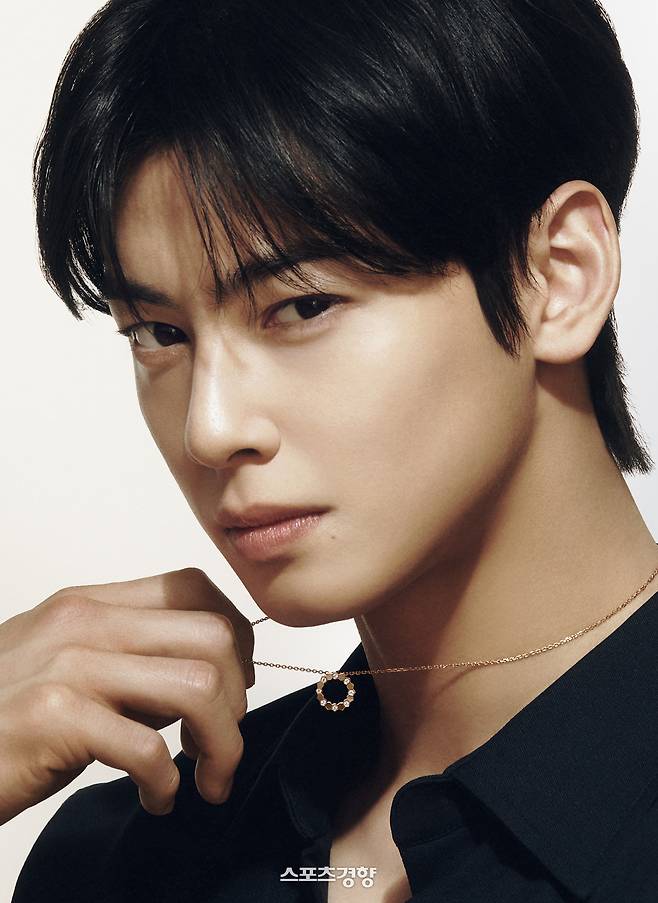 200억원대 탈세 의혹을 받고 있는 아스트로 멤버 차은우. 경향신문 자료사진