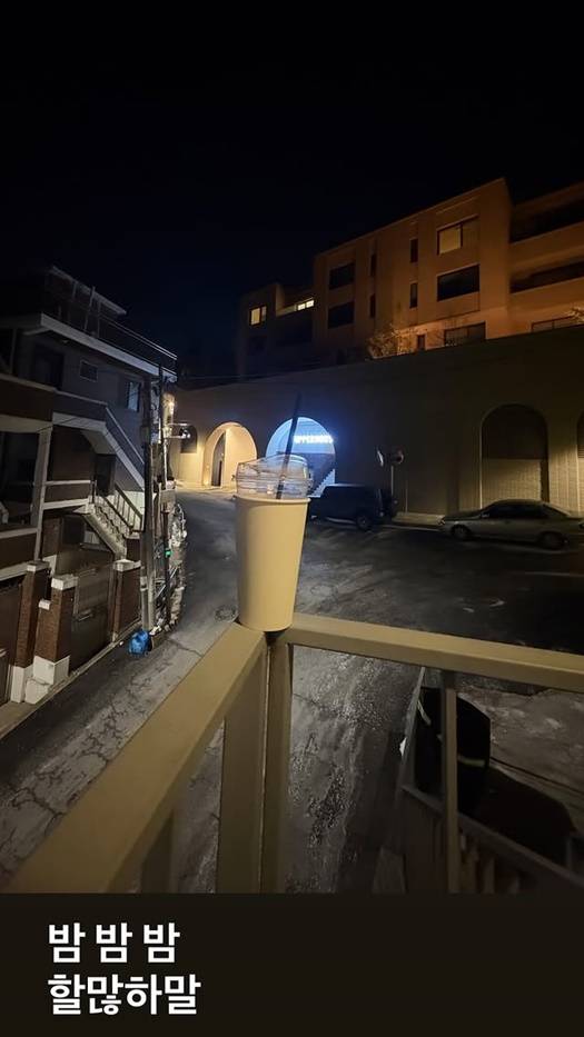 /사진=김소향 개인계정